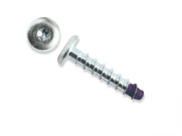 DeWALT Blue Tip Screwbolts - Dome Head - Zinc Plated - Box DeWALT Blue Tip Screwbolts - Dome Head - Zinc Plated - Box